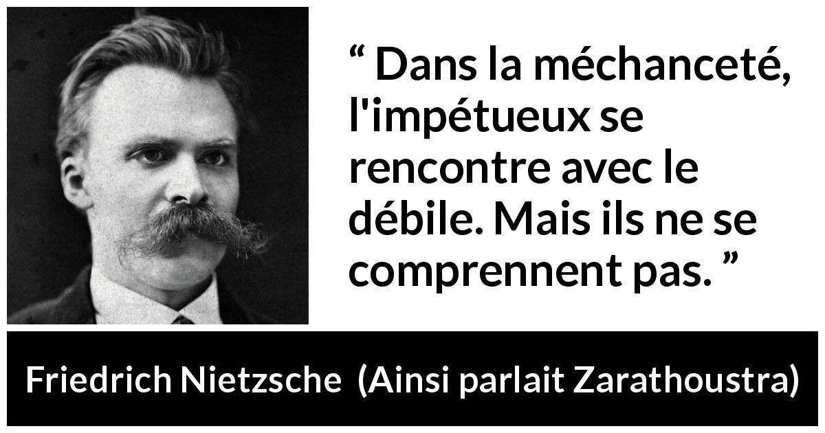 Citation de Friedrich Nietzsche sur la stupidité tirée d'Ainsi parlait Zarathoustra - Dans la méchanceté, l'impétueux se rencontre avec le débile. Mais ils ne se comprennent pas.