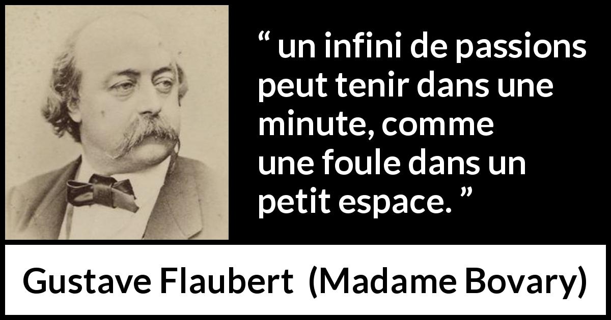 Citation de Gustave Flaubert sur la passion tirée de Madame Bovary - un infini de passions peut tenir dans une minute, comme une foule dans un petit espace.