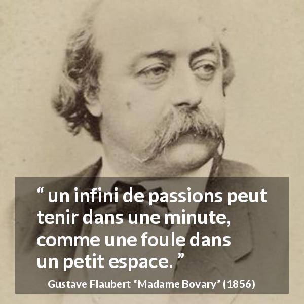 Citation de Gustave Flaubert sur la passion tirée de Madame Bovary - un infini de passions peut tenir dans une minute, comme une foule dans un petit espace.