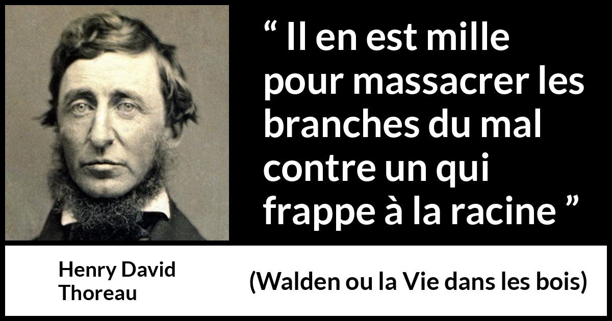 Citation de Henry David Thoreau sur le mal tirée de Walden ou la Vie dans les bois - Il en est mille pour massacrer les branches du mal contre un qui frappe à la racine