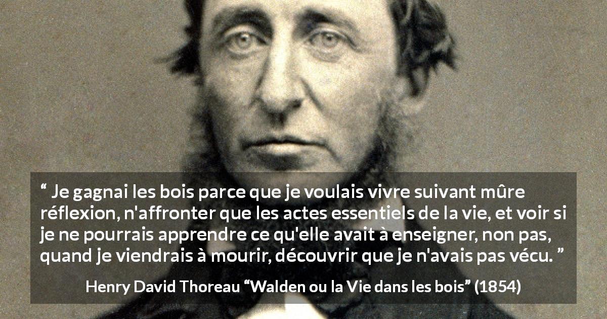 Citation de Henry David Thoreau sur la nature tirée de Walden ou la Vie dans les bois - Je gagnai les bois parce que je voulais vivre suivant mûre réflexion, n'affronter que les actes essentiels de la vie, et voir si je ne pourrais apprendre ce qu'elle avait à enseigner, non pas, quand je viendrais à mourir, découvrir que je n'avais pas vécu.