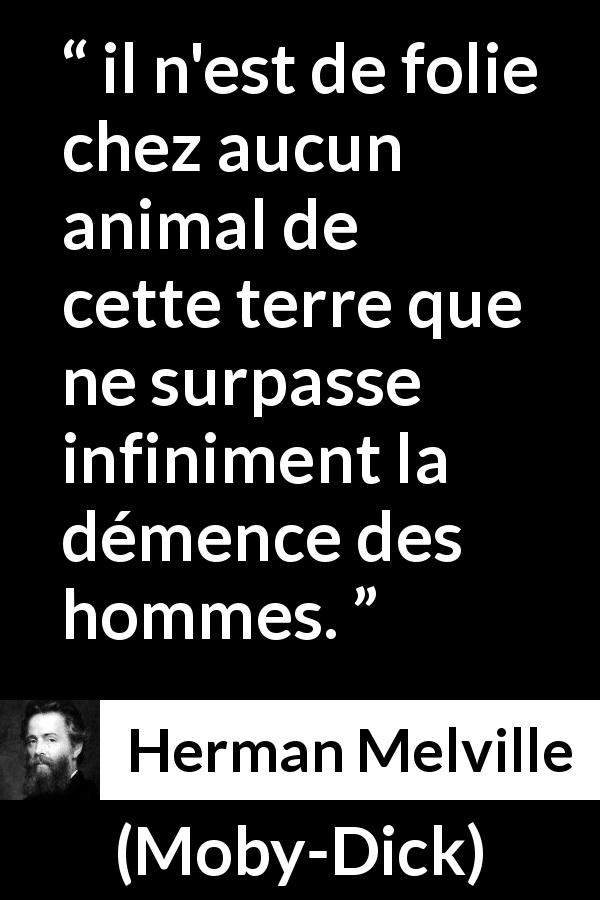 Citation de Herman Melville sur l'animal tirée de Moby-Dick - il n'est de folie chez aucun animal de cette terre que ne surpasse infiniment la démence des hommes.