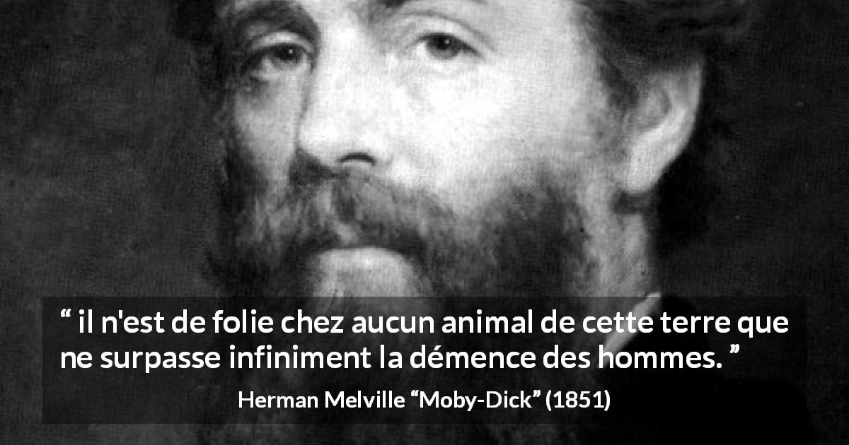 Citation de Herman Melville sur l'animal tirée de Moby-Dick - il n'est de folie chez aucun animal de cette terre que ne surpasse infiniment la démence des hommes.