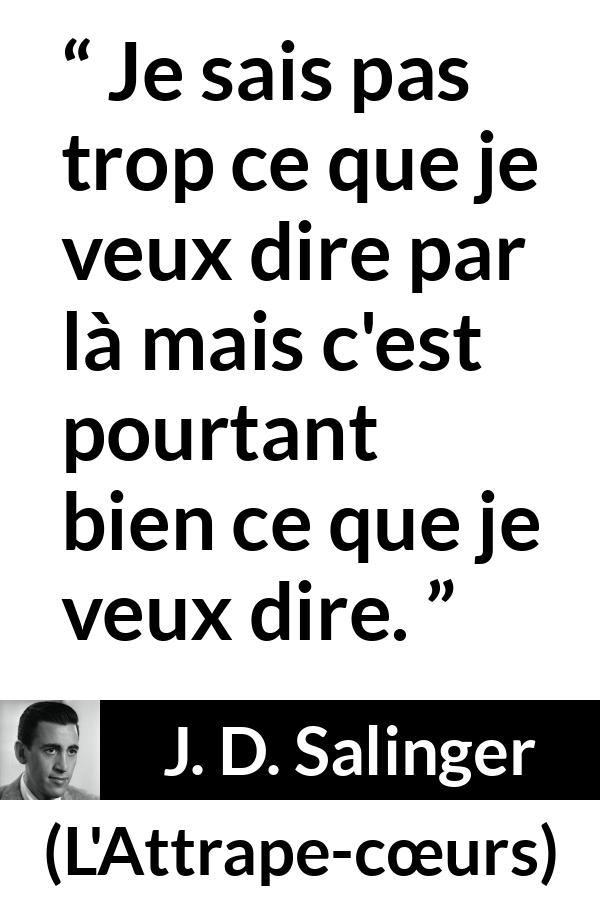 Citation de J. D. Salinger sur les sens tirée de L'Attrape-cœurs - Je sais pas trop ce que je veux dire par là mais c'est pourtant bien ce que je veux dire.