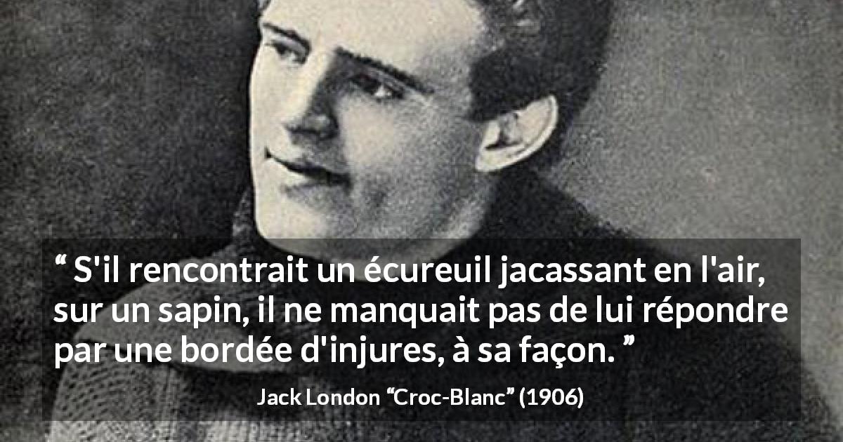 Citation de Jack London sur la nature tirée de Croc-Blanc - S'il rencontrait un écureuil jacassant en l'air, sur un sapin, il ne manquait pas de lui répondre par une bordée d'injures, à sa façon.