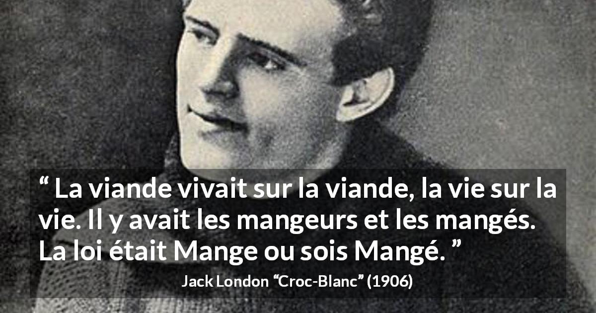Citation de Jack London sur la nature tirée de Croc-Blanc - La viande vivait sur la viande, la vie sur la vie. Il y avait les mangeurs et les mangés. La loi était Mange ou sois Mangé.