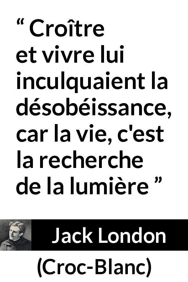 Citation de Jack London sur la vie tirée de Croc-Blanc - Croître et vivre lui inculquaient la désobéissance, car la vie, c'est la recherche de la lumière