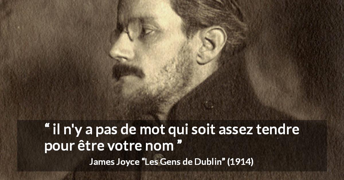 Citation de James Joyce sur les mots tirée des Gens de Dublin - il n'y a pas de mot qui soit assez tendre pour être votre nom