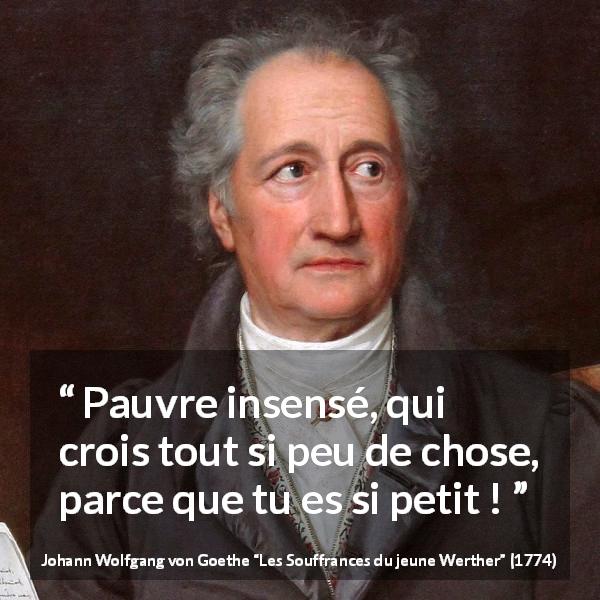 Citation de Johann Wolfgang von Goethe sur la petitesse tirée des Souffrances du jeune Werther - Pauvre insensé, qui crois tout si peu de chose, parce que tu es si petit !