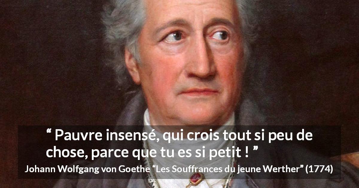 Citation de Johann Wolfgang von Goethe sur la petitesse tirée des Souffrances du jeune Werther - Pauvre insensé, qui crois tout si peu de chose, parce que tu es si petit !