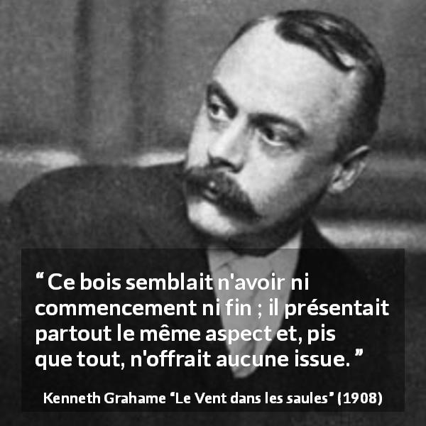 Citation de Kenneth Grahame sur le piège tirée du Vent dans les saules - Ce bois semblait n'avoir ni commencement ni fin ; il présentait partout le même aspect et, pis que tout, n'offrait aucune issue.