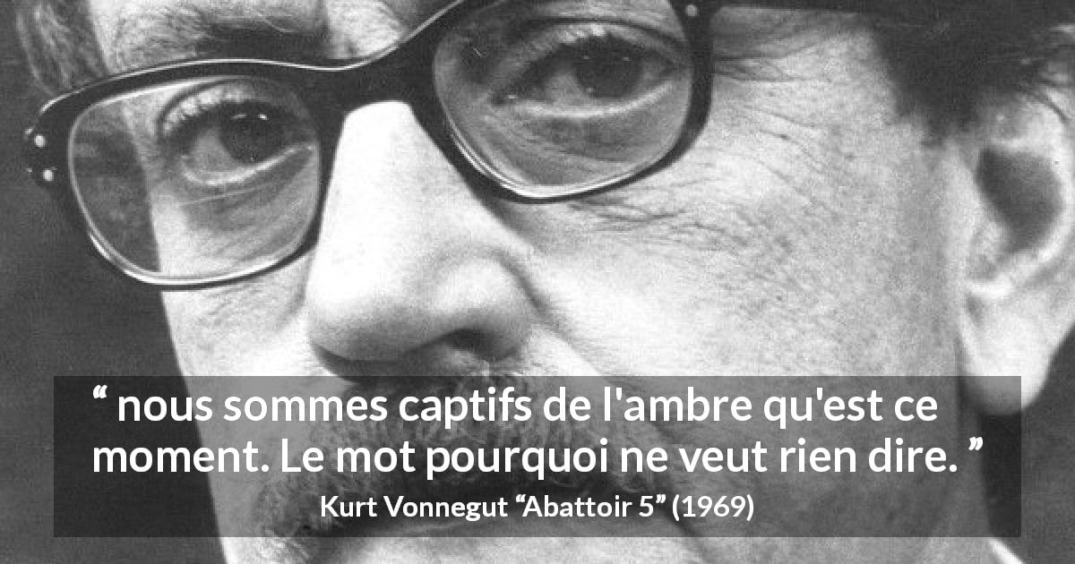 Citation de Kurt Vonnegut sur la compréhension tirée d'Abattoir 5 - nous sommes captifs de l'ambre qu'est ce moment. Le mot pourquoi ne veut rien dire.