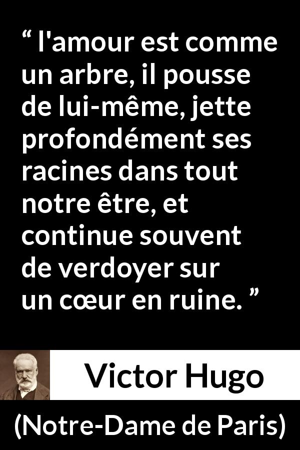 Citation de Victor Hugo sur l'amour tirée de Notre-Dame de Paris - l'amour est comme un arbre, il pousse de lui-même, jette profondément ses racines dans tout notre être, et continue souvent de verdoyer sur un cœur en ruine.