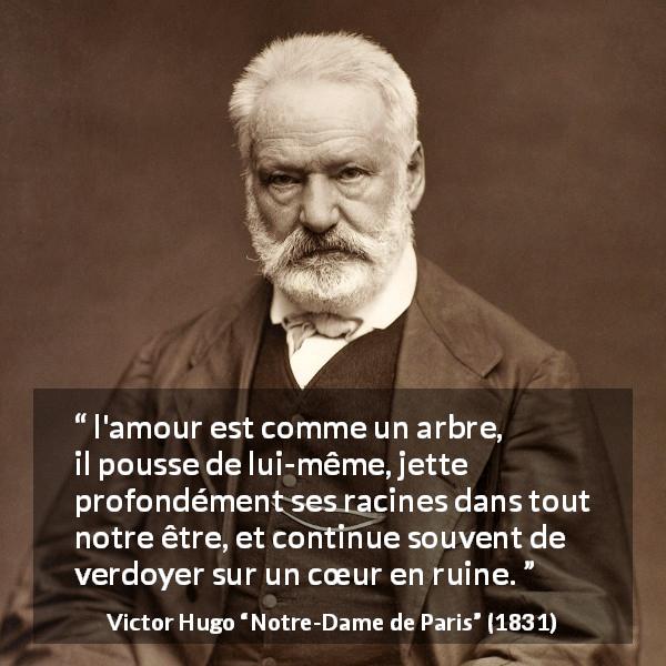 Citation de Victor Hugo sur l'amour tirée de Notre-Dame de Paris - l'amour est comme un arbre, il pousse de lui-même, jette profondément ses racines dans tout notre être, et continue souvent de verdoyer sur un cœur en ruine.