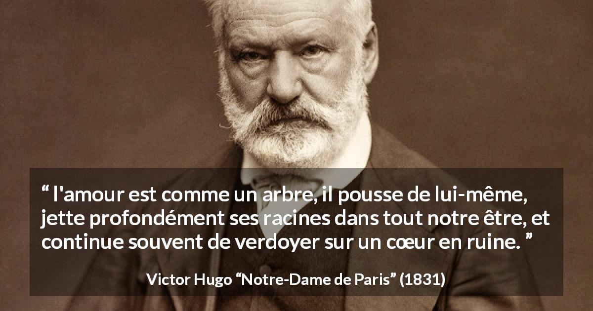 Citation de Victor Hugo sur l'amour tirée de Notre-Dame de Paris - l'amour est comme un arbre, il pousse de lui-même, jette profondément ses racines dans tout notre être, et continue souvent de verdoyer sur un cœur en ruine.