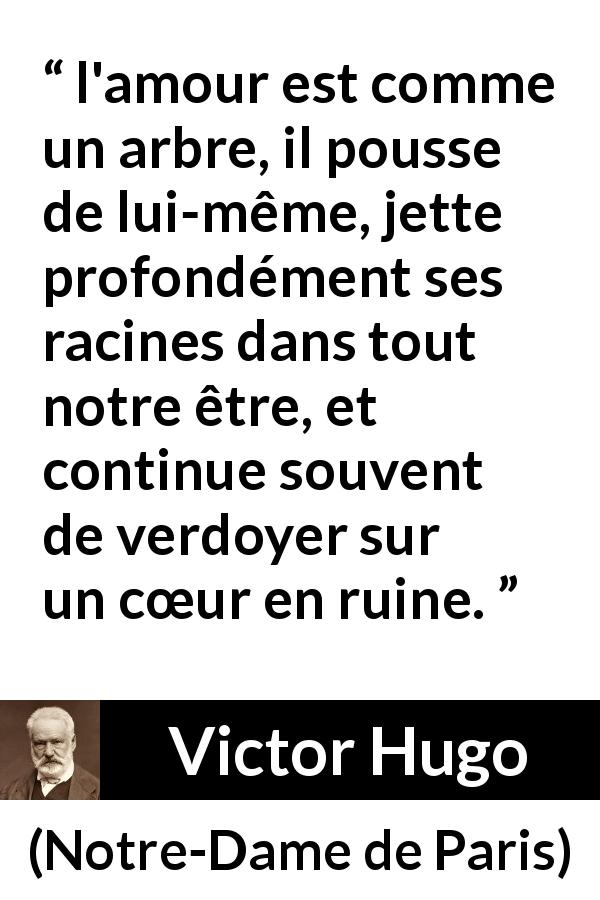 Citation de Victor Hugo sur l'amour tirée de Notre-Dame de Paris - l'amour est comme un arbre, il pousse de lui-même, jette profondément ses racines dans tout notre être, et continue souvent de verdoyer sur un cœur en ruine.