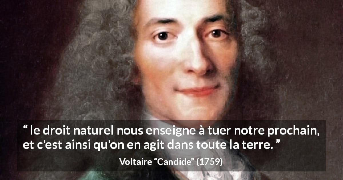 Citation de Voltaire sur la nature tirée de Candide - le droit naturel nous enseigne à tuer notre prochain, et c'est ainsi qu'on en agit dans toute la terre.