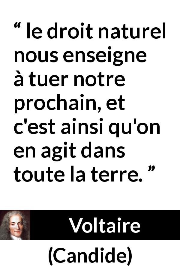 Citation de Voltaire sur la nature tirée de Candide - le droit naturel nous enseigne à tuer notre prochain, et c'est ainsi qu'on en agit dans toute la terre.