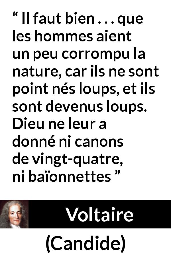 Citation de Voltaire sur la violence tirée de Candide - Il faut bien . . . que les hommes aient un peu corrompu la nature, car ils ne sont point nés loups, et ils sont devenus loups. Dieu ne leur a donné ni canons de vingt-quatre, ni baïonnettes