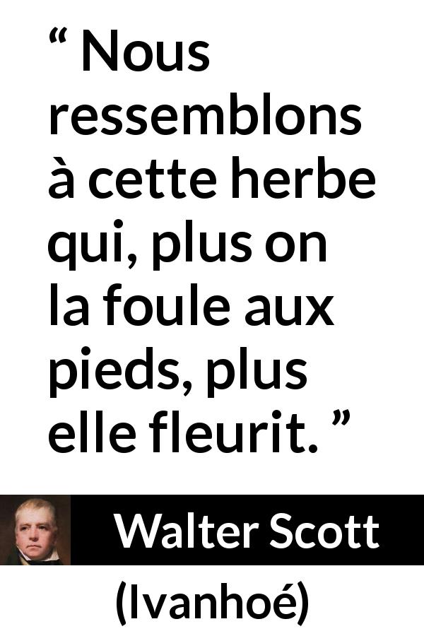 Citation de Walter Scott sur l'adversité tirée d'Ivanhoé - Nous ressemblons à cette herbe qui, plus on la foule aux pieds, plus elle fleurit.